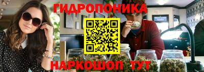 хмурый Сланцы